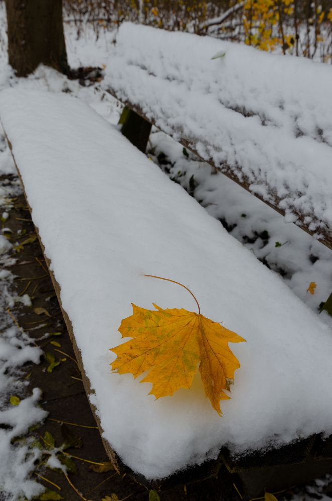 Photograph by Oleg Yashin