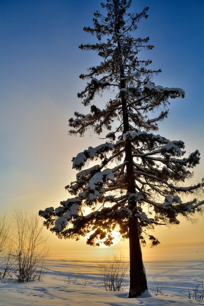 Photograph by Александр Зуев