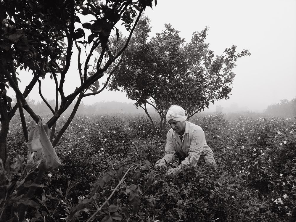 Photograph by Ahmed eleryan