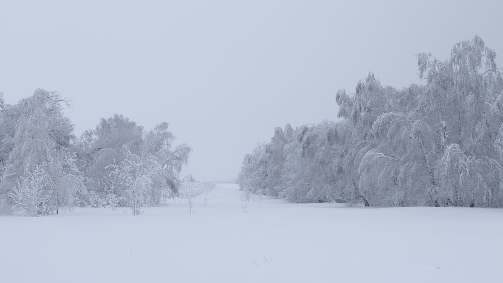 Photograph by Анжелика Сороколетова