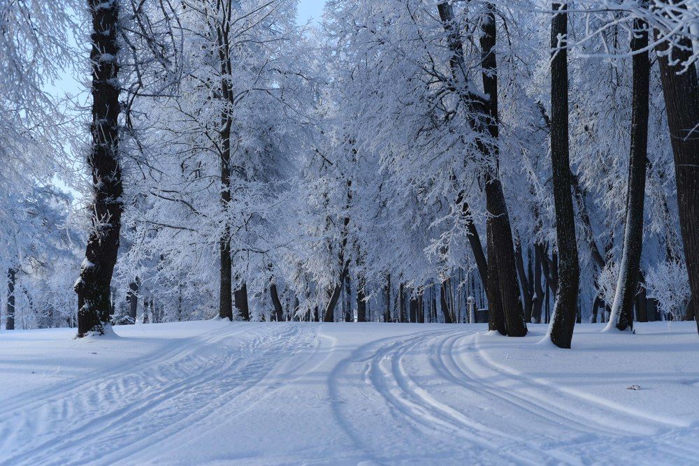 Photograph by Надежда Пухова