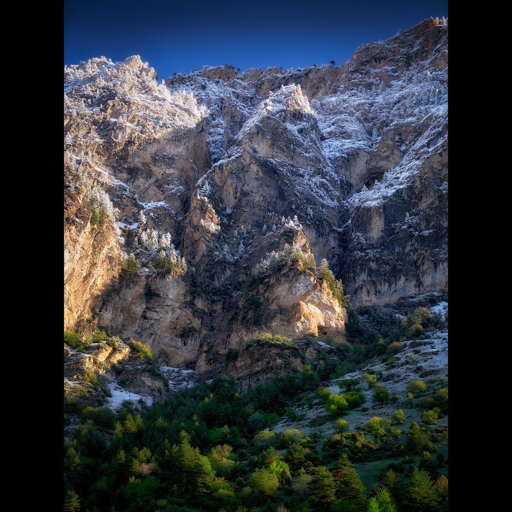 Фотография автора Ivan Godovikov