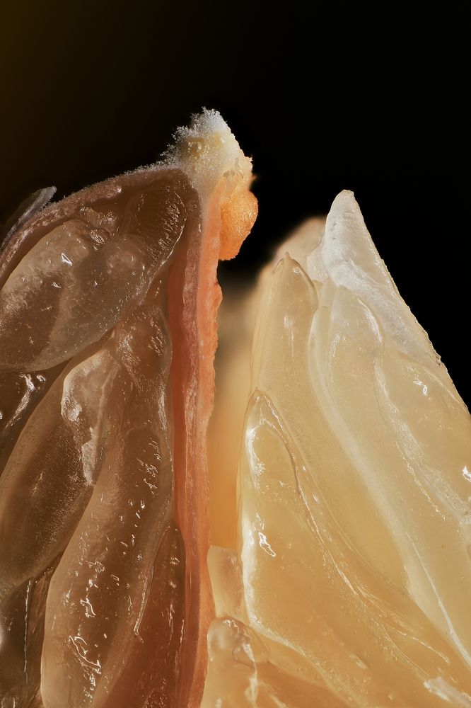 Photograph by Oleksii Maznychenko