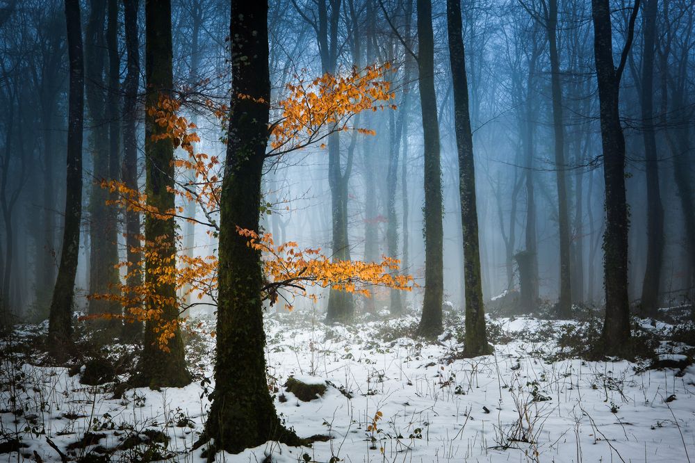 Photograph by Petrov Ivaylo