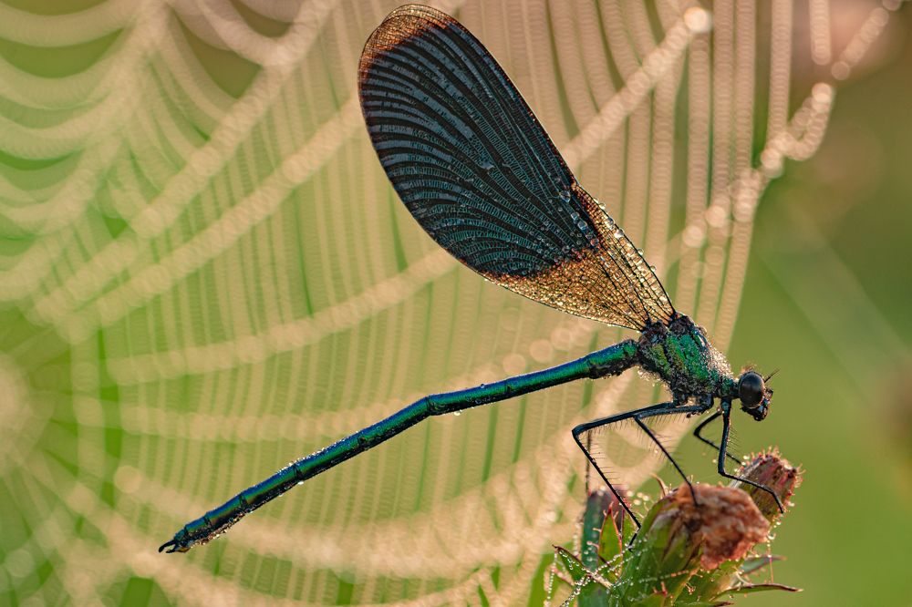 Фотография автора Зайцев Роман