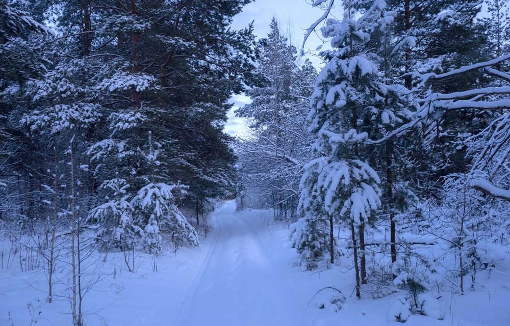 Фотография автора Эдуард Онгориев