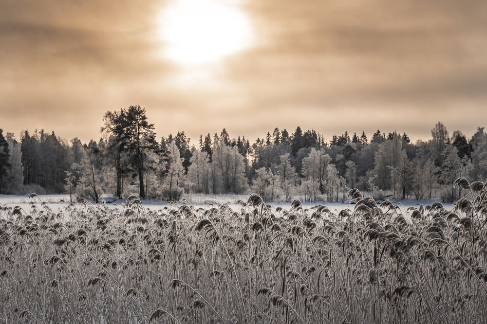 Photograph by Максим Сорокин