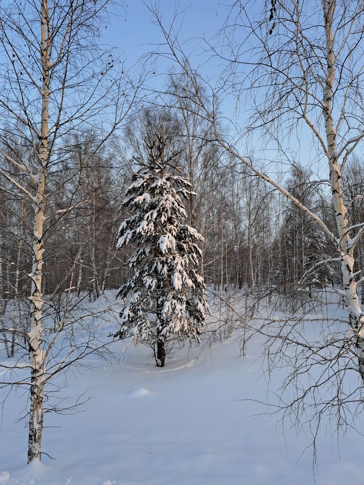 Photograph by Валентина Нохрина