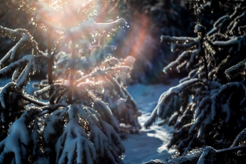 Photograph by Anna Suchcicka