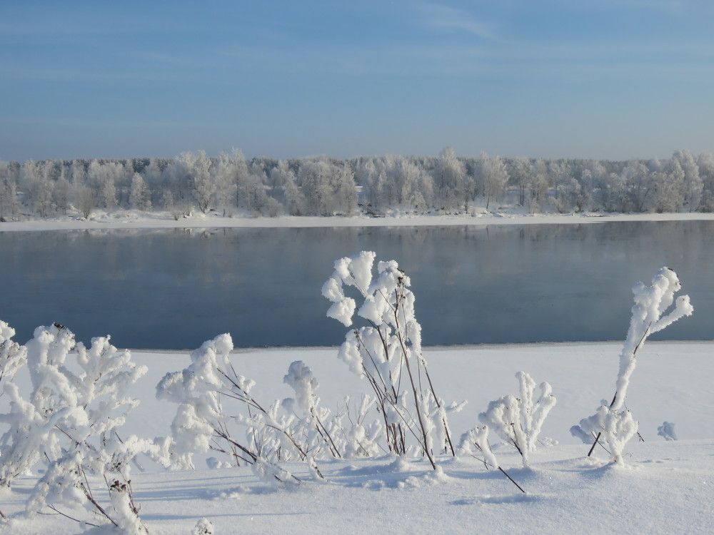 Photograph by Галина Пименова