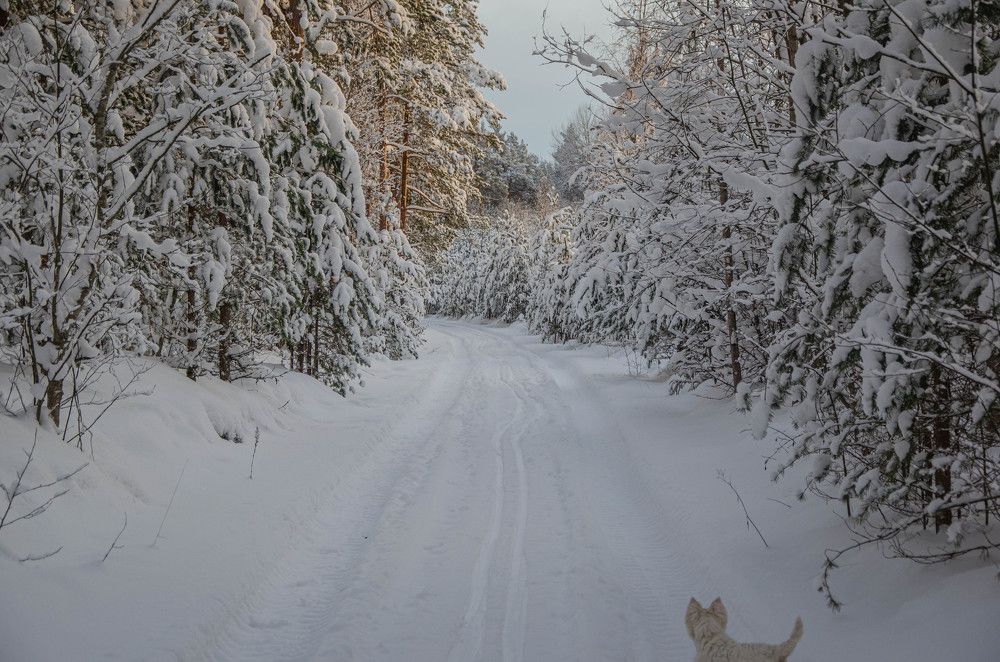 Photograph by Ivan Kozhin