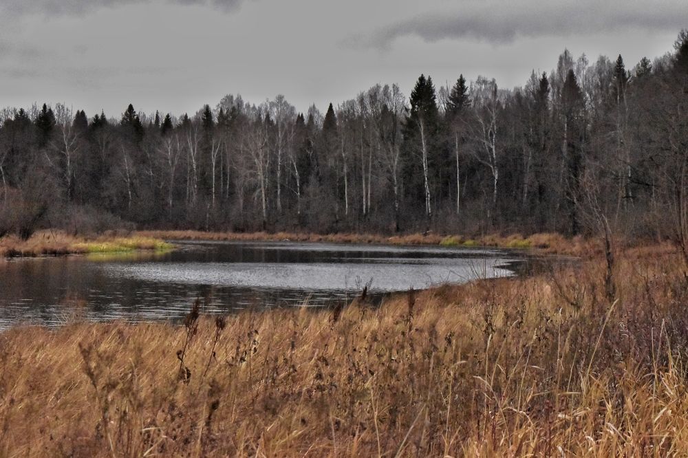 Чёрное озеро