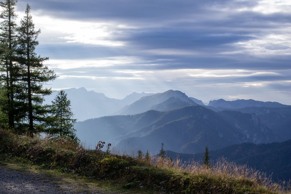 Photograph by Анна Зеленая