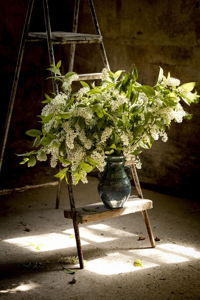 Photograph by Yana Raaga