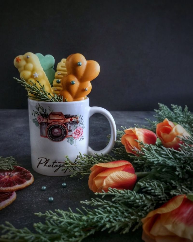 Фотография автора Zahra Seyedmorti