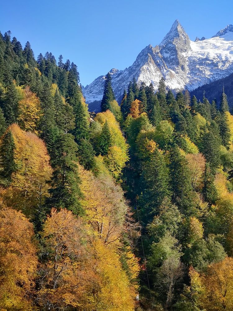 Photograph by Владимир Кривенко