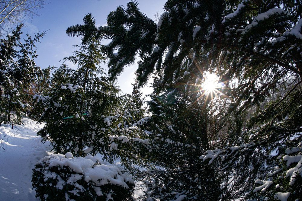 Photograph by Алфия Бугакова