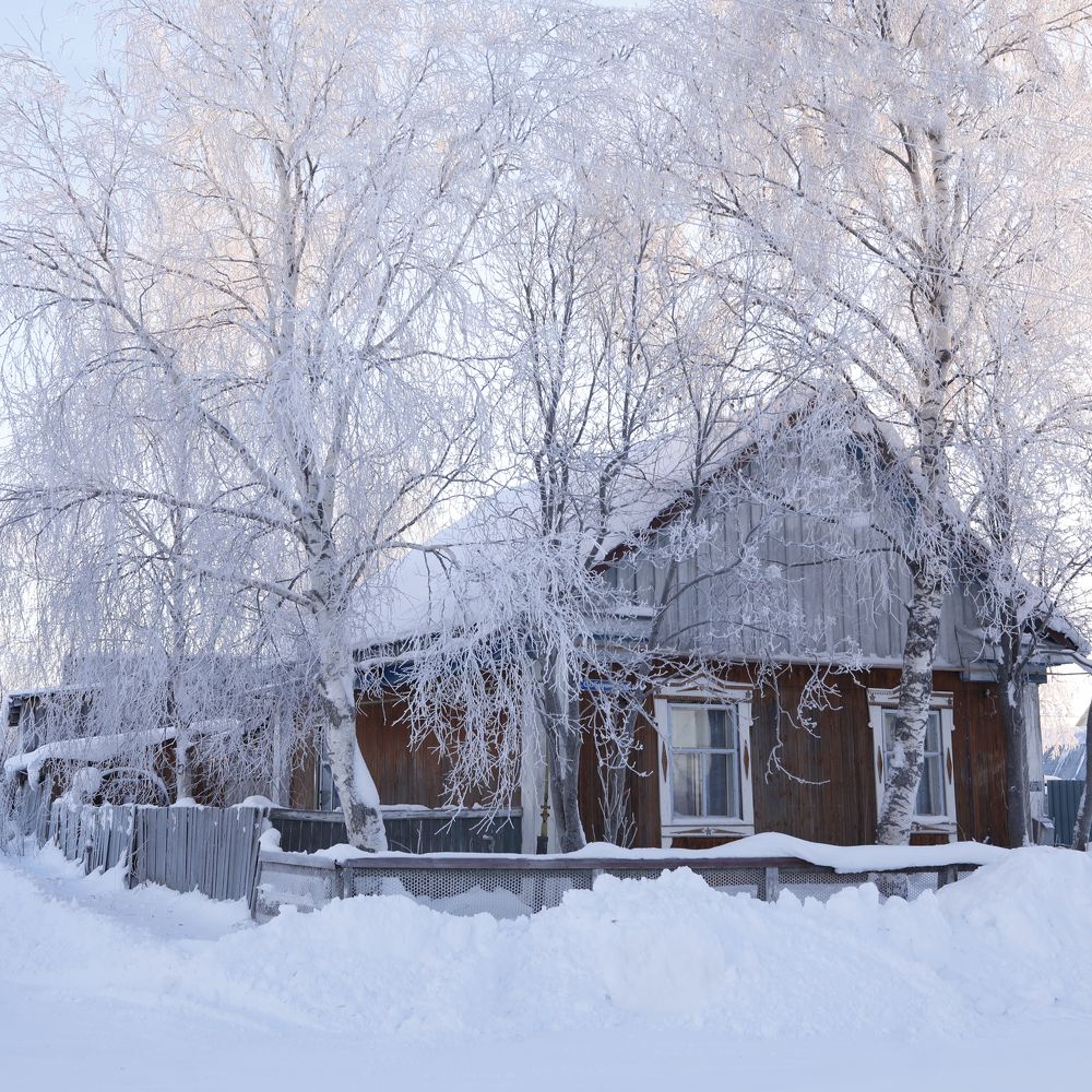 Фотография автора Яврова Татьяна