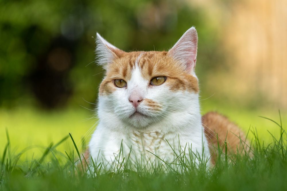 Photograph by Александр Максимов