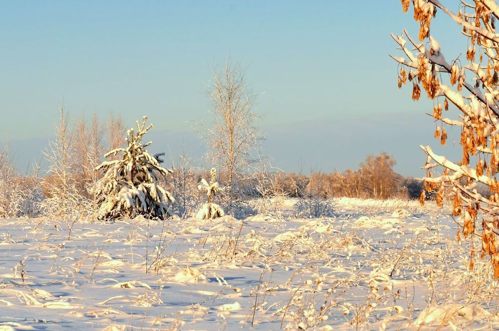 Photograph by Николай Абакумов