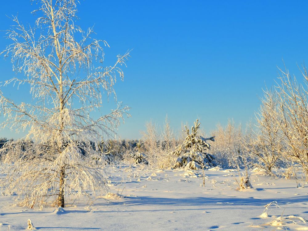Photograph by Николай Абакумов