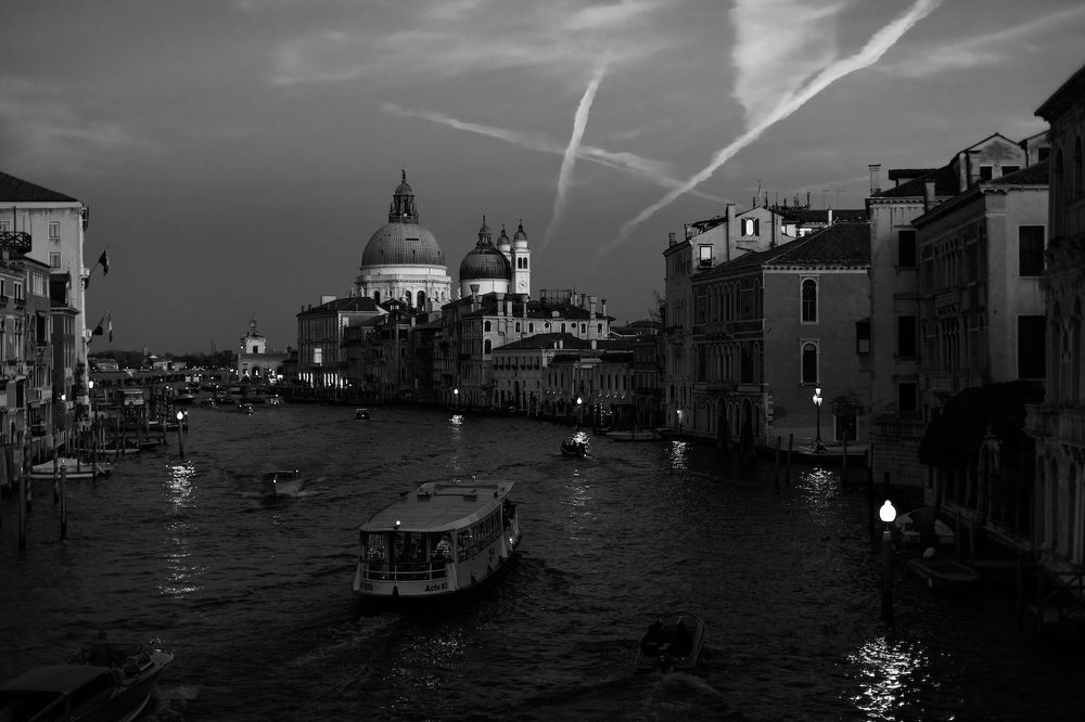 Photograph by Елизавета Калинина