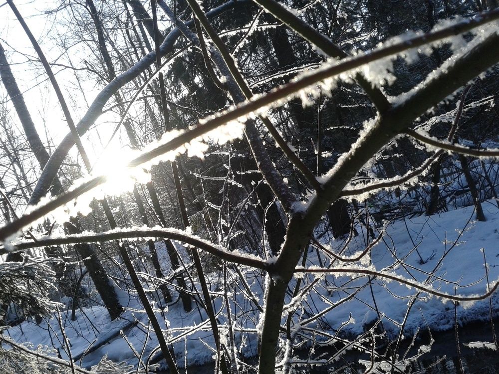 Photograph by Елена Смирнова