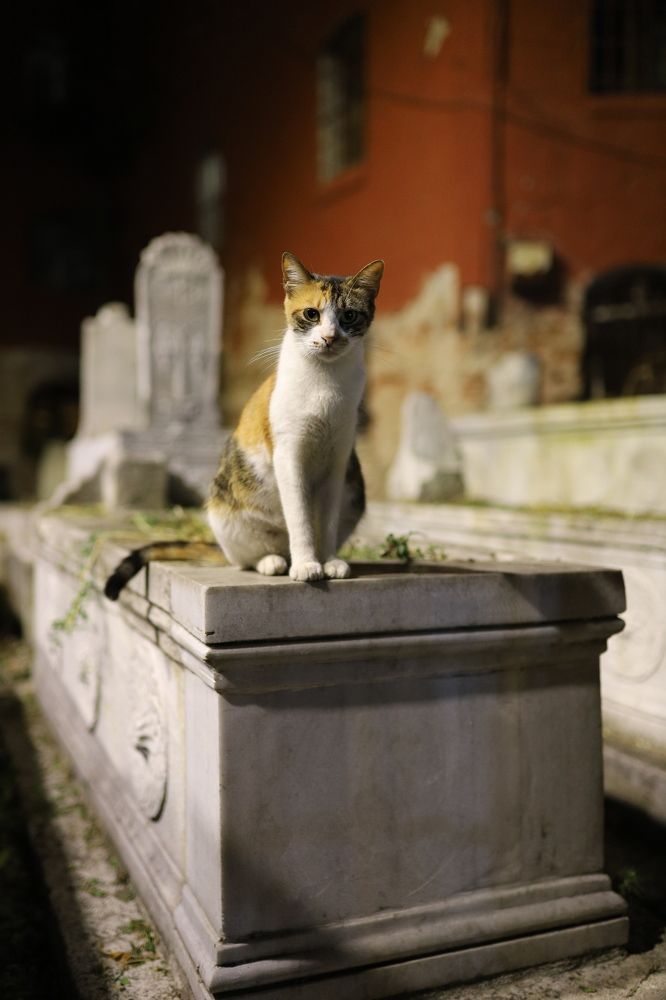 Photograph by Kseniya Trafimovich