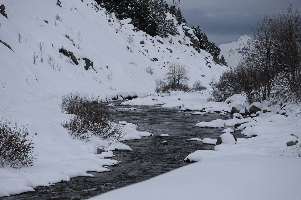 Photograph by Tatyana Pomogaeva