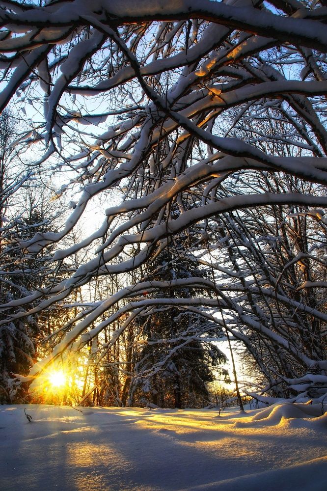 Photograph by Владимир Микрокосмос