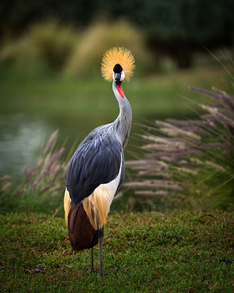 Photograph by NOUSHADALI EDAKKANDATHIL