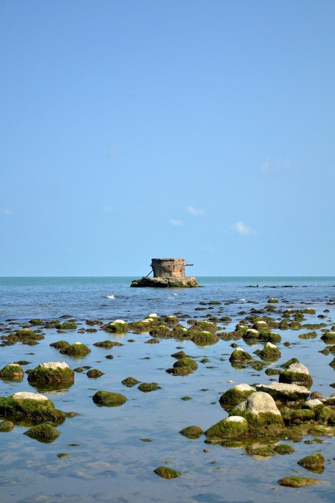 Фотография автора mohammadreza izadi