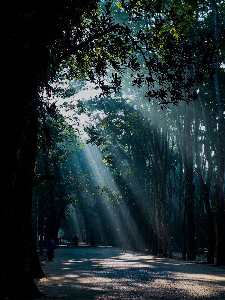 Photograph by Sanjay Been