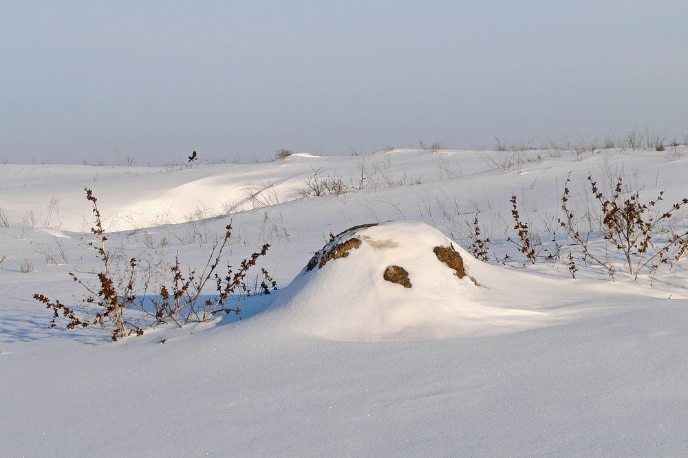 Фотография автора Александр Челмодеев