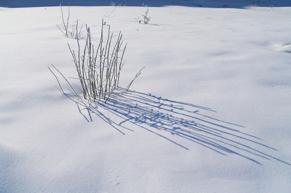 Фотография автора Александр Челмодеев