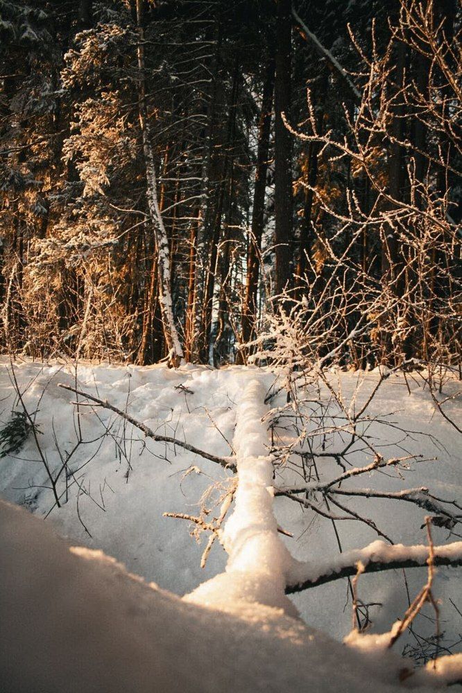 Photograph by Марианна Чайка