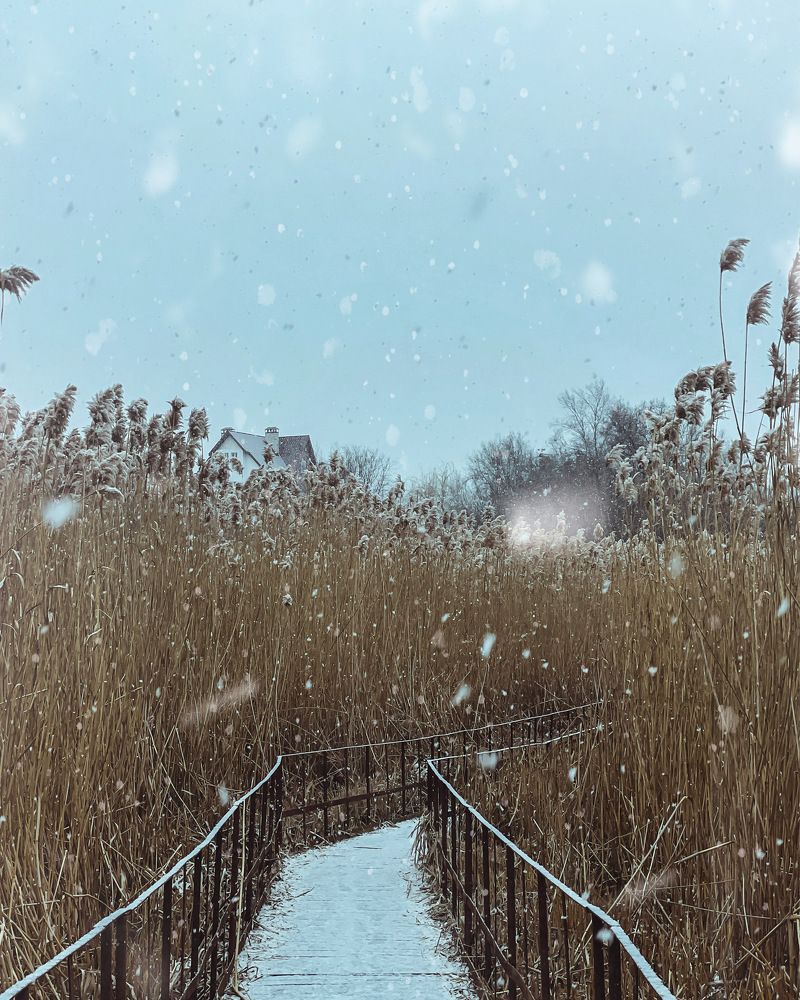 Photograph by Анастасия Каланакова