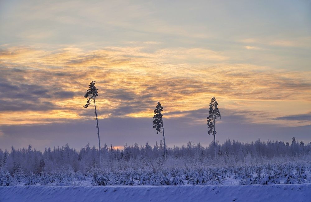 Photograph by Марина Безенкина