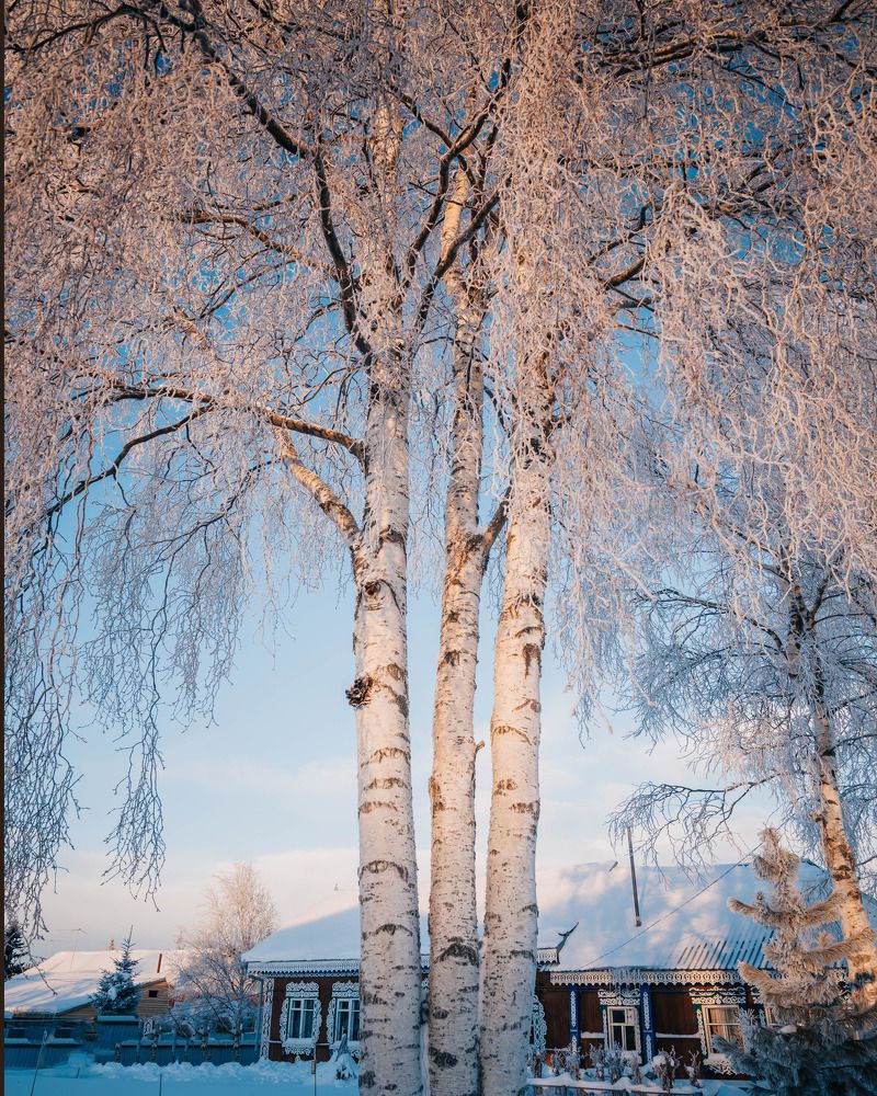 Фотография автора Яврова Татьяна
