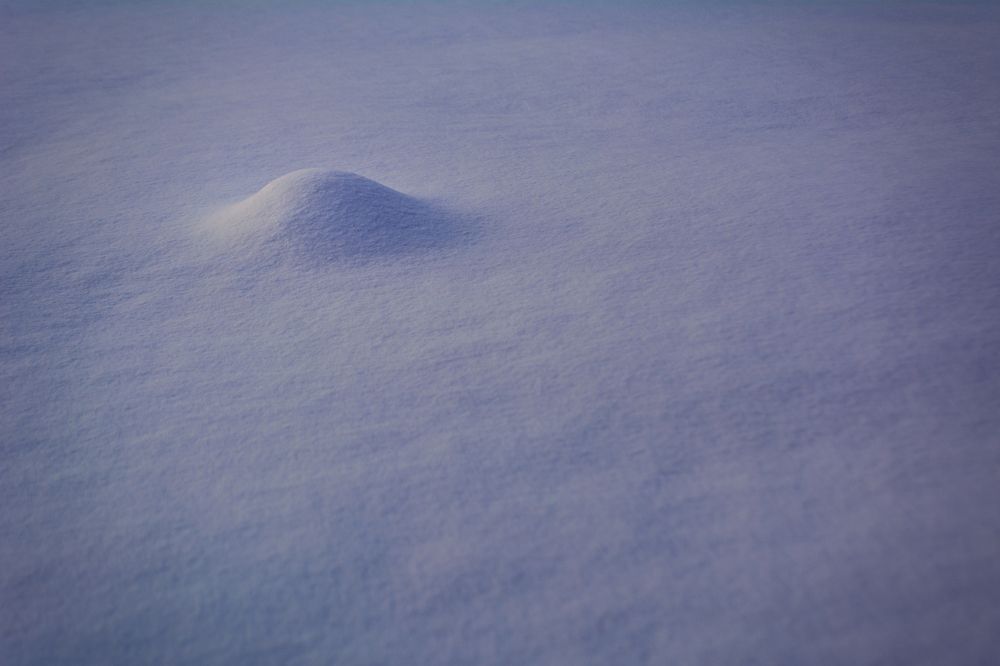 Photograph by Глеб Обуховский