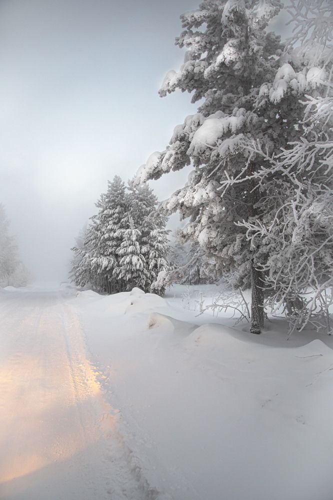 Фотография автора Елена Разина