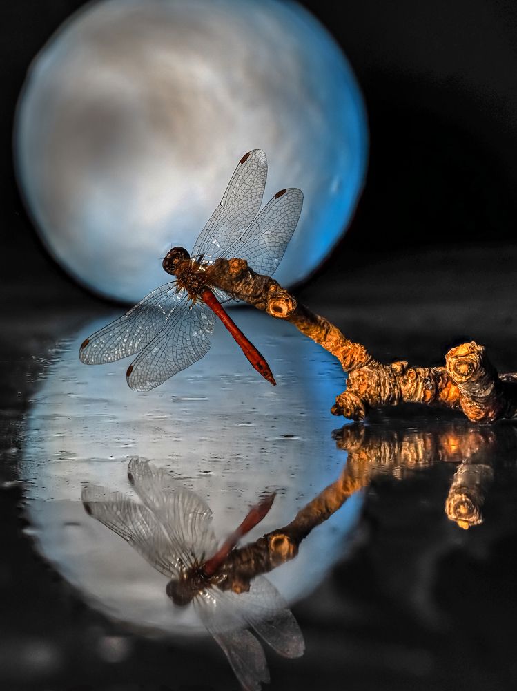 Photograph by савицкий олег