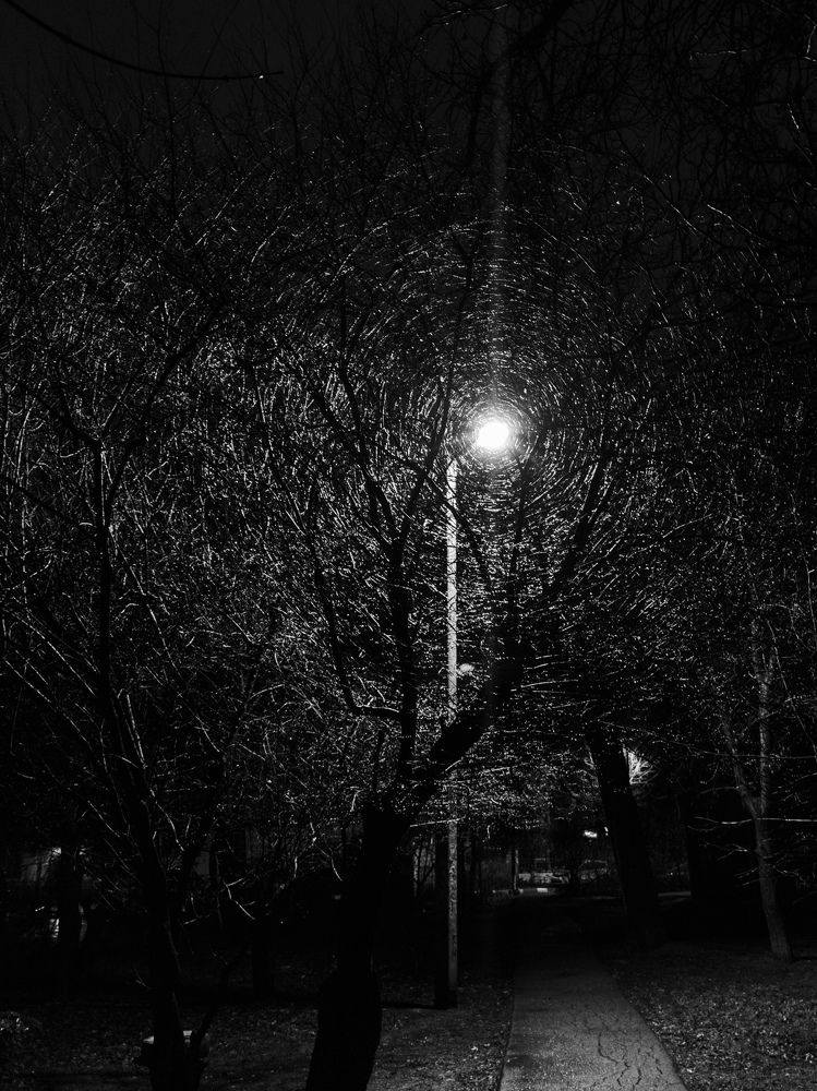 Photograph by Александр Шевченко