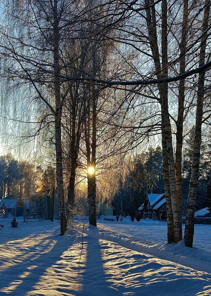 Photograph by Алексей Чудин