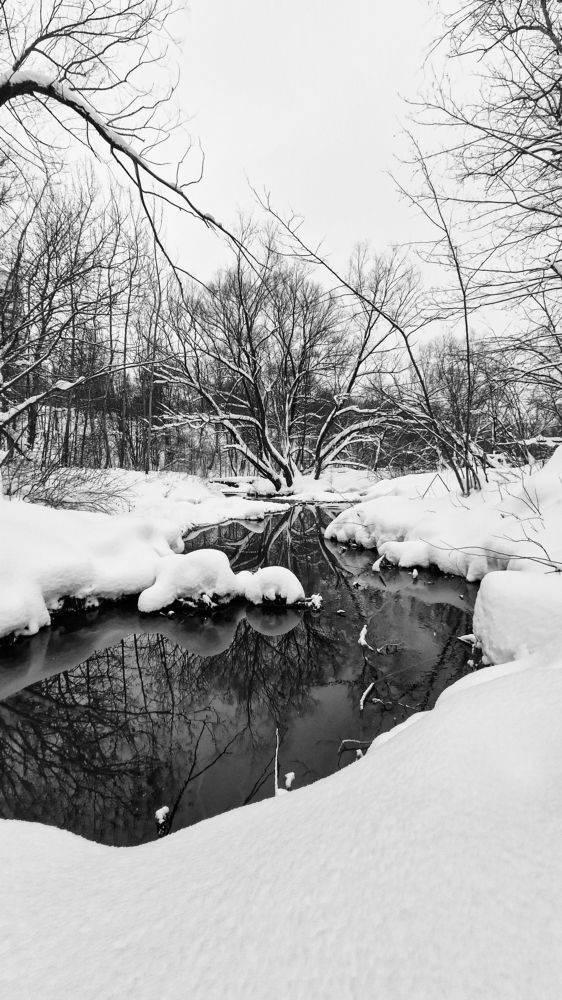 Photograph by Алексей Чудин