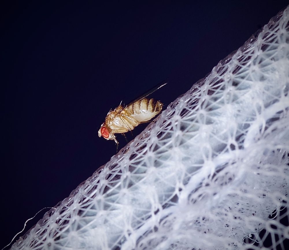 Photograph by Олег Китаев