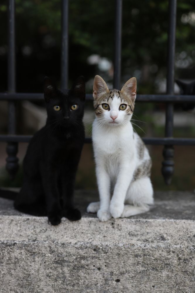 Photograph by Kseniya Trafimovich