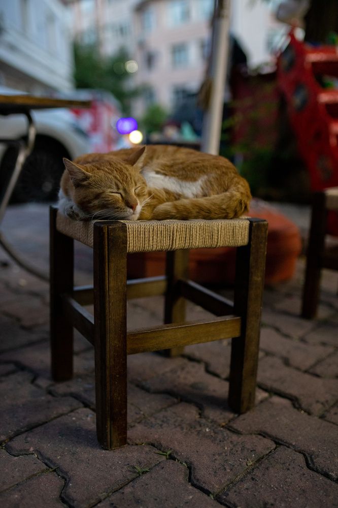 Photograph by Kseniya Trafimovich