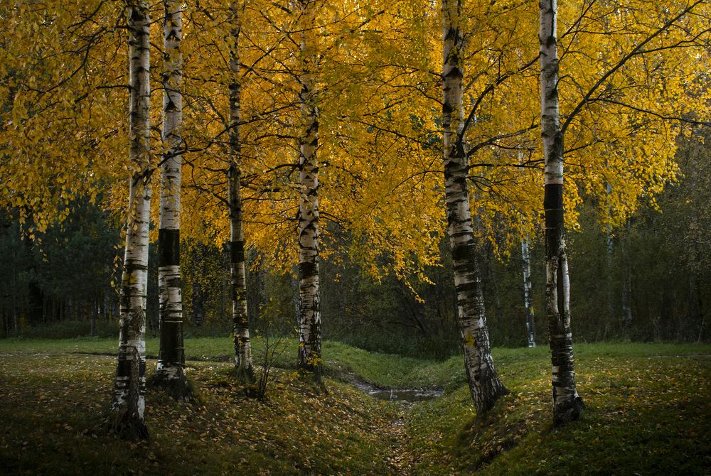 Photograph by Анастасия Яковенко