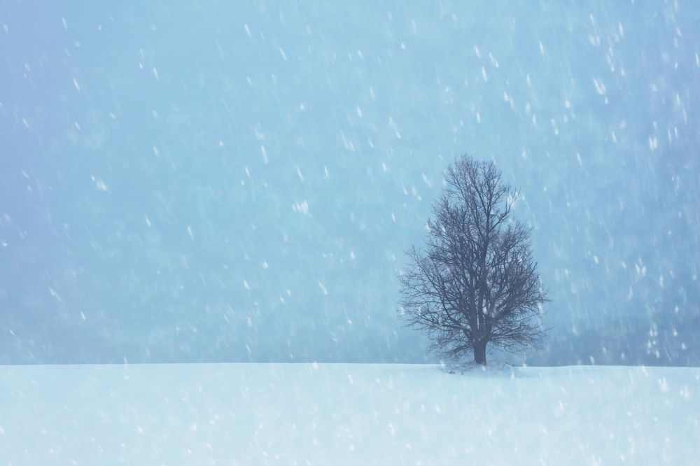 Фотография автора Игорь Ефремычев